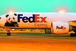 FEDEX(lin)Hf(w)